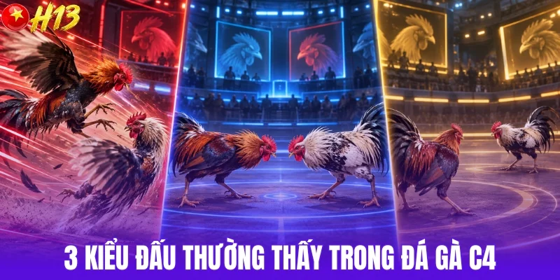 3 dạng trận nổi bật trong đá gà C4