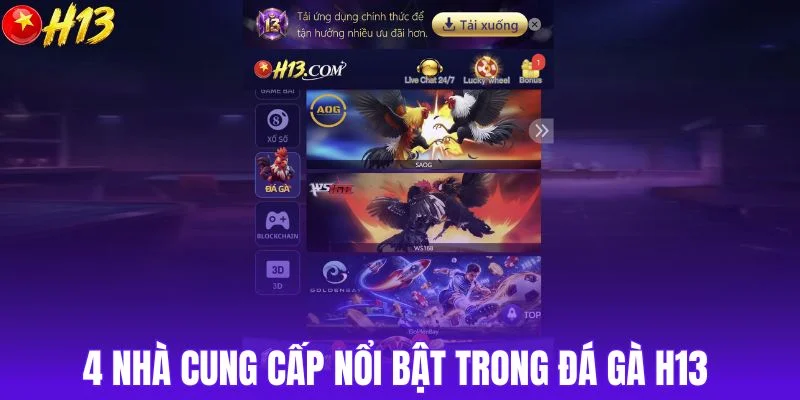4 nhà cung cấp nổi bật trong đá gà H13