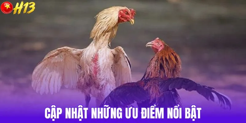 Cập nhật những ưu điểm nổi bật