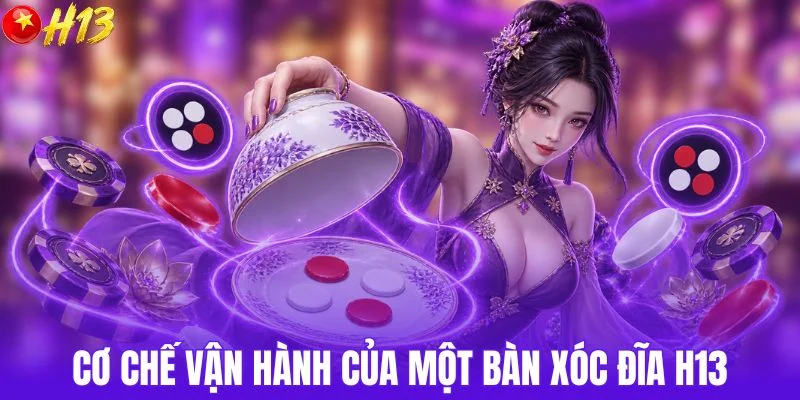 Cơ chế vận hành của một bàn xóc đĩa H13