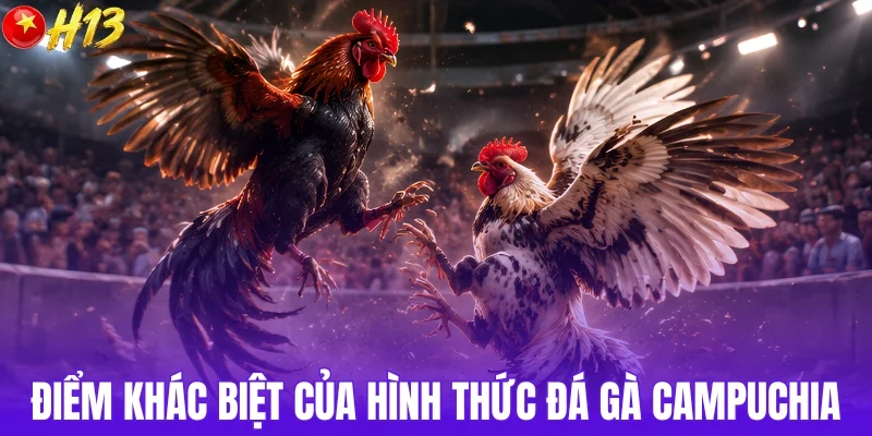 Điểm khác biệt của đá gà Campuchia