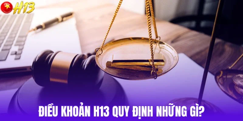 Điều khoản điều kiện bao gồm nội dung nào?