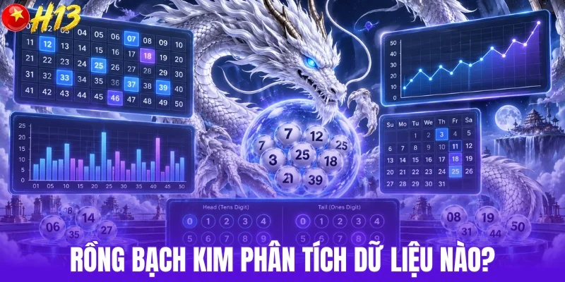 Dữ liệu nào được rồng bạch kim phân tích?