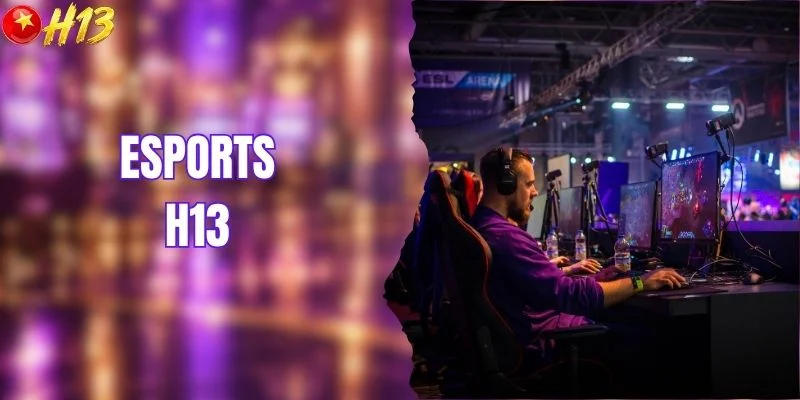Esports H13 - Tổng Hợp Các Tựa Game Và Bảng Kèo Nổi Bật
