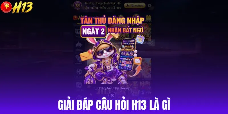 Giải đáp câu hỏi H13 là gì