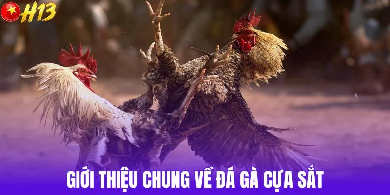 Giới thiệu chung về đá gà cựa sắt