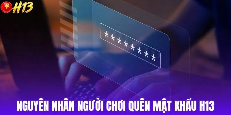 Nguyên nhân người chơi quên mật khẩu H13