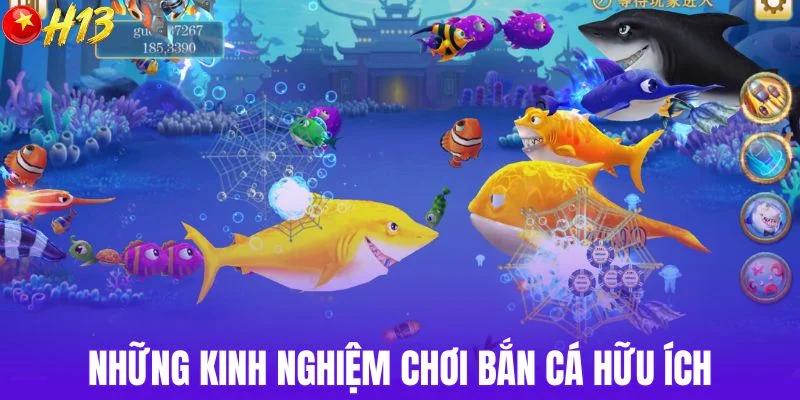 Những kinh nghiệm chơi bắn cá hữu ích