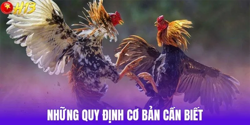 Những quy định cơ bản cần biết