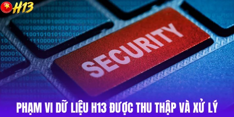 Phạm vi dữ liệu được thu thập và xử lý