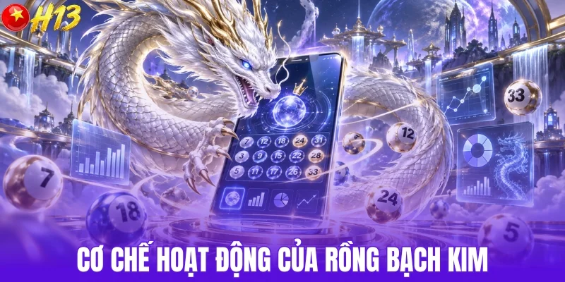 Rồng bạch kim hoạt động ra sao?