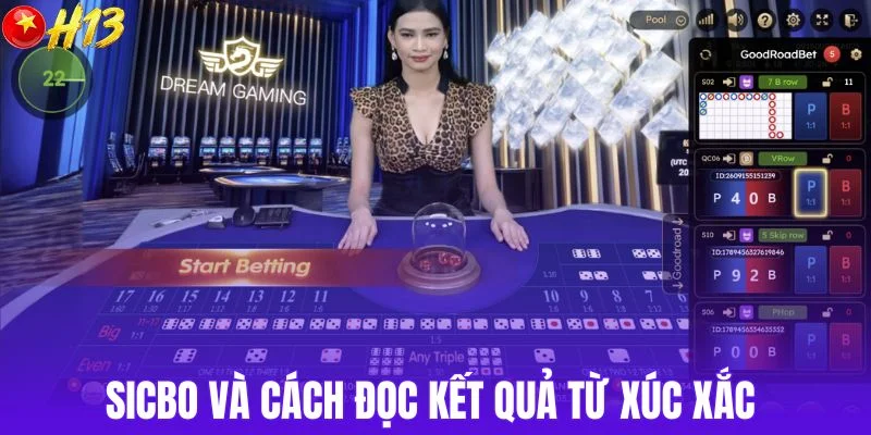 Sicbo và cách đọc kết quả từ xúc xắc