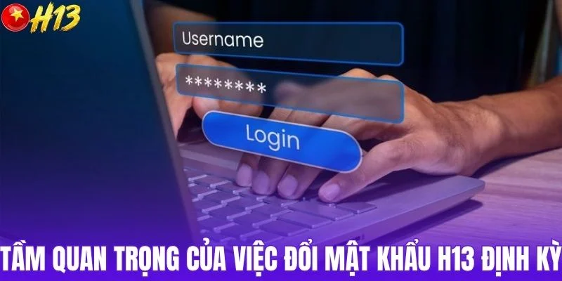 Tầm quan trọng của việc đổi mật khẩu H13 định kỳ