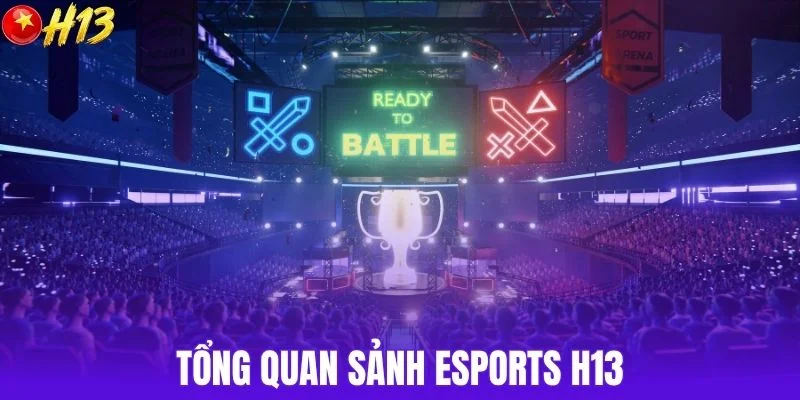 Tổng quan sảnh esports H13