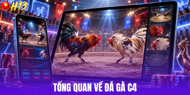 Tổng quan về đá gà C4